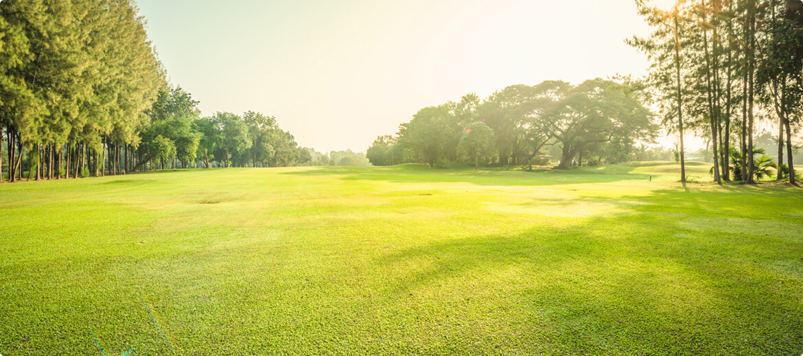 image-4.jpg image-4.jpg